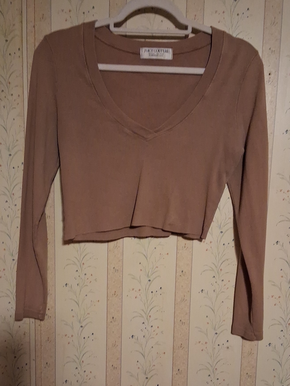 Juicy Couture Cropped V-Neck Long Sleeve Top in Taupe